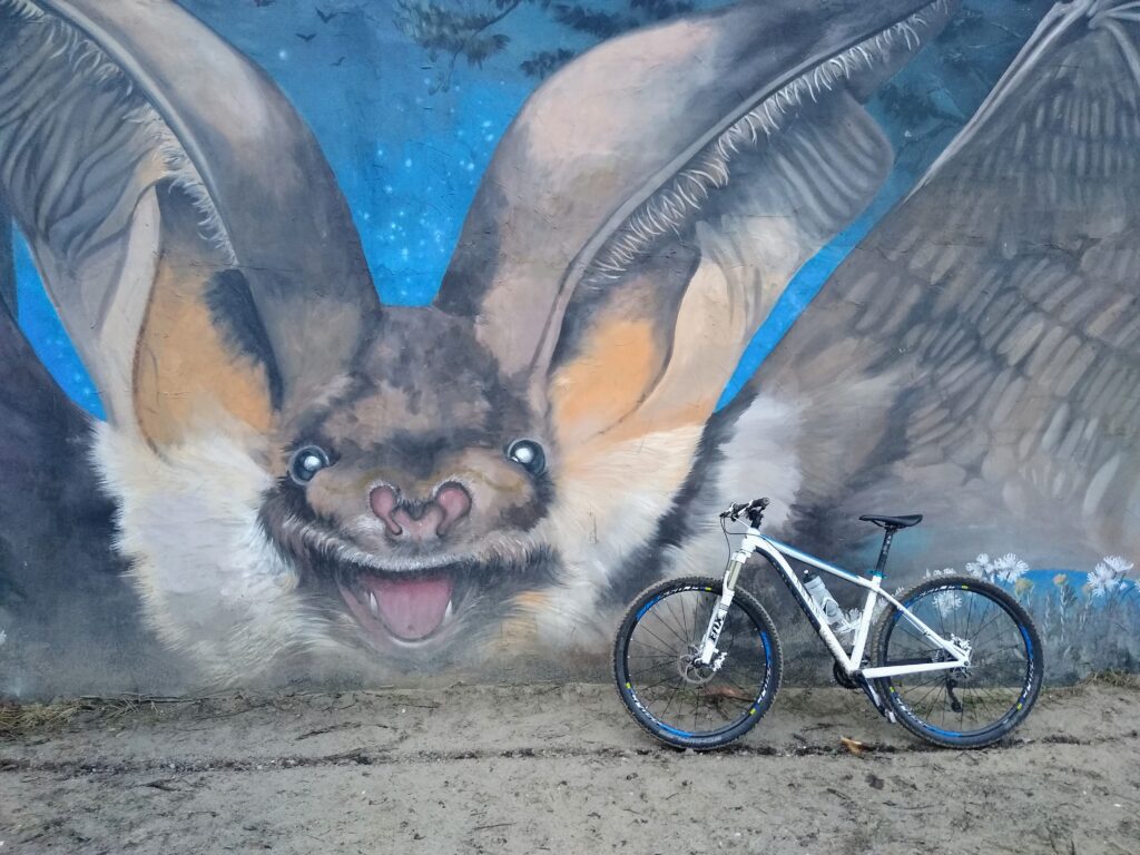 Rajd Rowerowy Kampinos