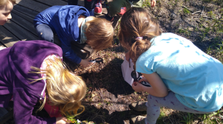 wycieczki przedszkolne