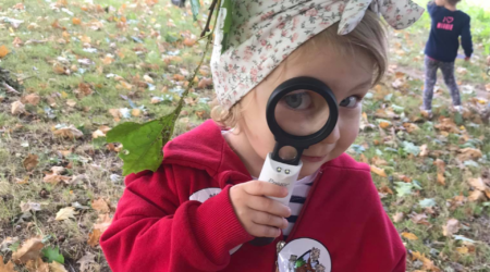 wycieczki przedszkolne