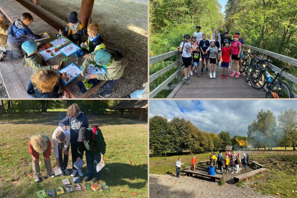 Wycieczki szkolne, eventy, gry terenowe, rajdy rowerowe, integracje Kampinos