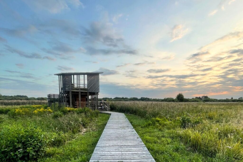 TOP 10 Atrakcje w Kampinosie Granica