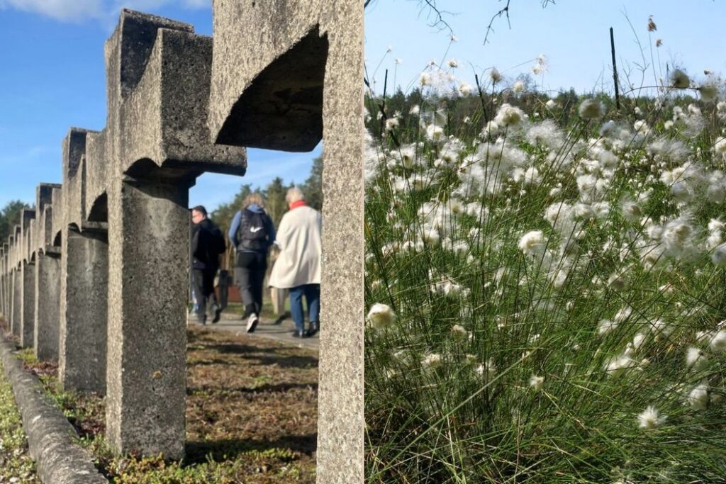 TOP 10 Atrakcje w Kampinosie Palmiry Długie Bagno