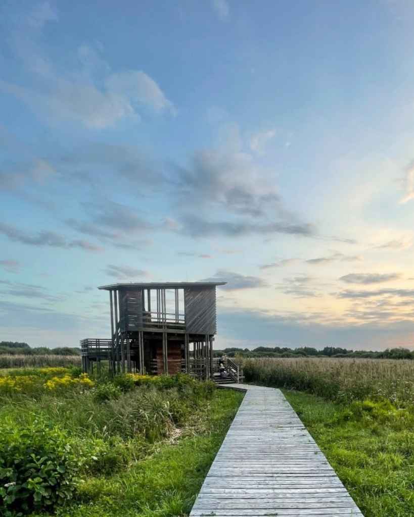 Wycieczka szkolna do Granicy – muzeum, skansen i ścieżka edukacyjna Kampinos