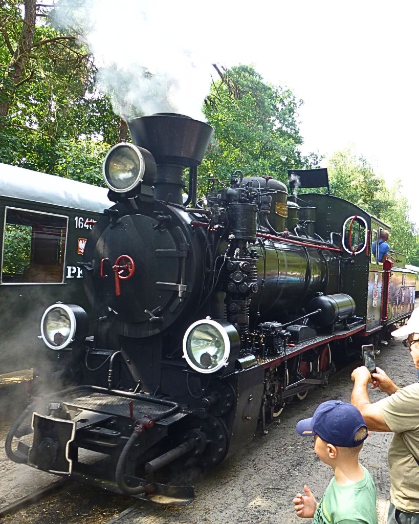 Wycieczka szkolna pociągiem RETRO z Sochaczewa do Kampinoskiego Parku Narodowego – zabawa i edukacja