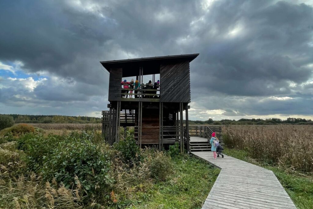 Kładka i wieża widokowa w Granicy – Kampinoski Park Narodowy