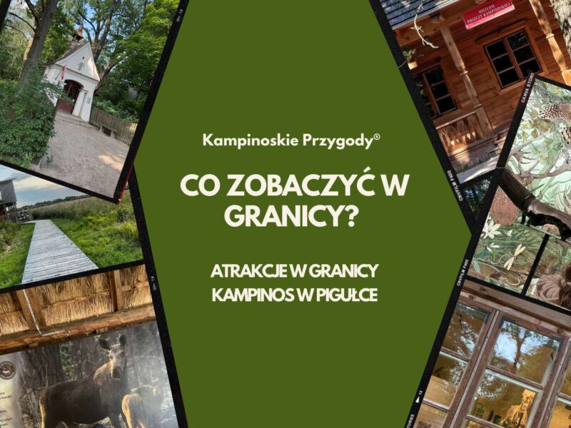 Granica w Kampinoskim Parku Narodowym – atrakcje, przyroda i edukacja w Puszczy Kampinoskiej