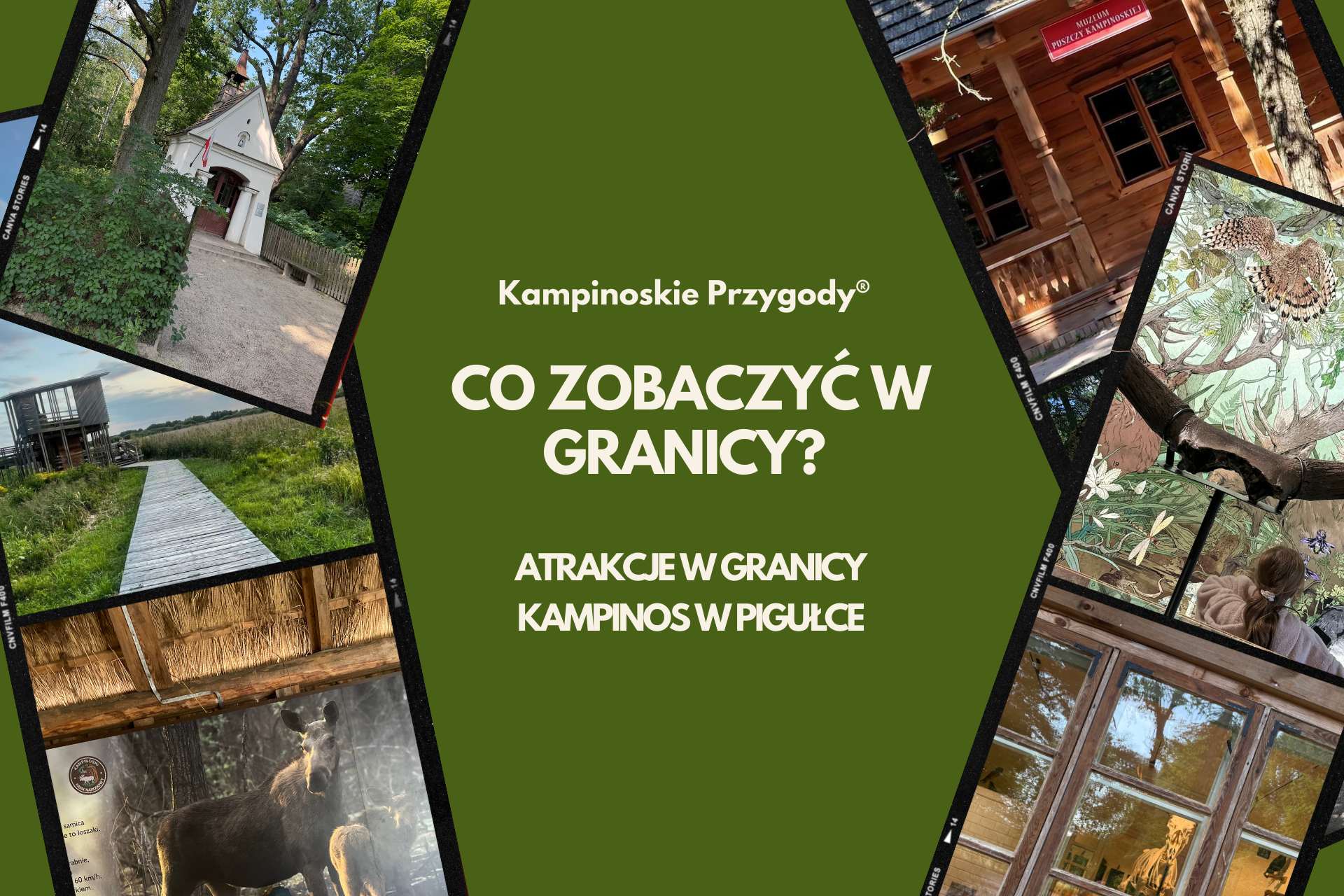 Granica w Kampinoskim Parku Narodowym – atrakcje, przyroda i edukacja w Puszczy Kampinoskiej