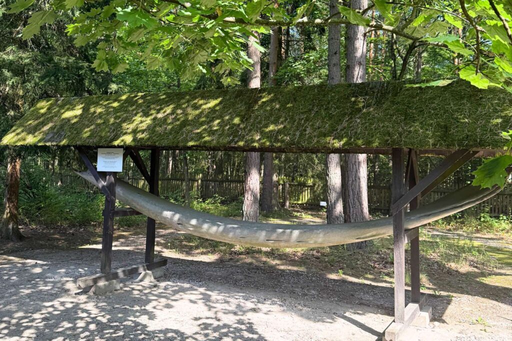 Fragment szczęki wieloryba bezzębnego (Fiszbinowca) w Granicy – eksponat edukacyjny Kampinoskiego Parku Narodowego