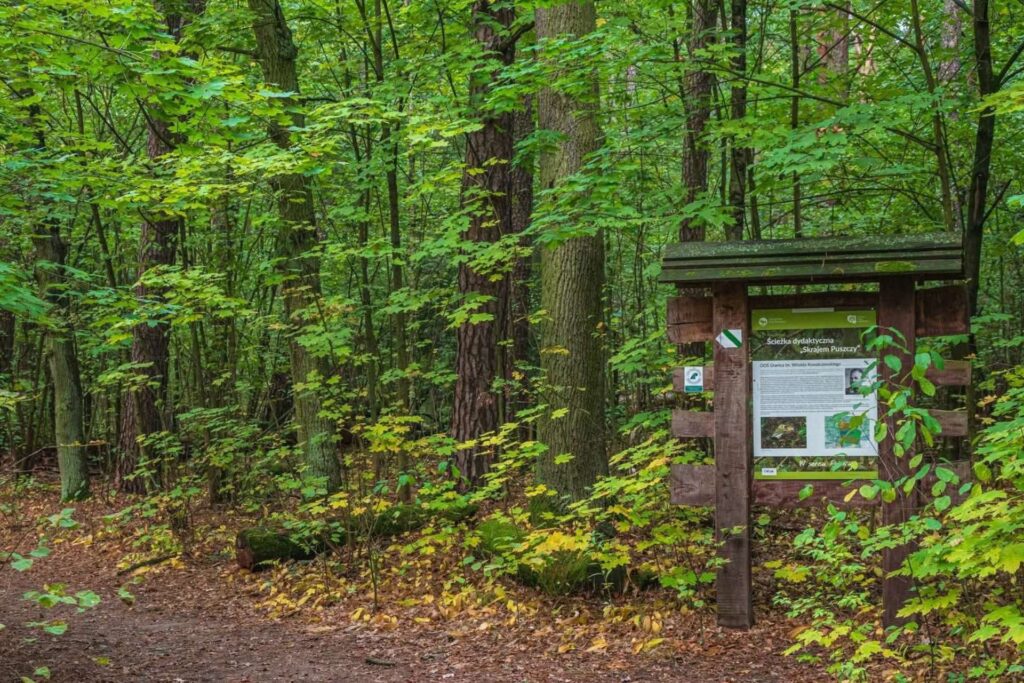 Obszar Ochrony Ścisłej „Granica” im. inż. Witolda Kowalczewskiego – naturalne bory sosnowe i wydmy