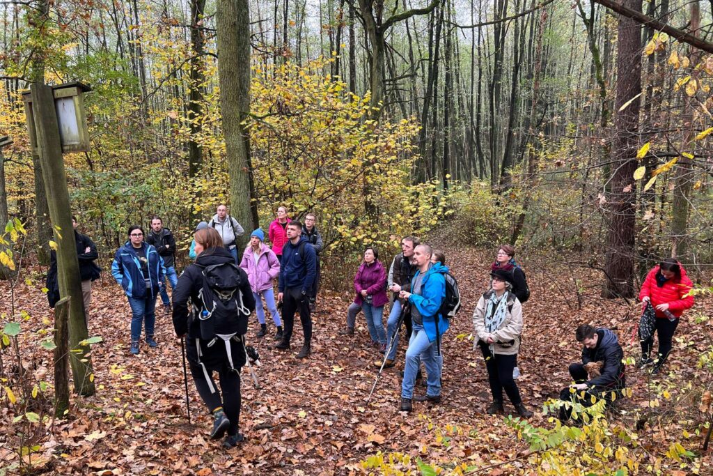 Spacer w lesie Kampinos – wellbeing dla firm