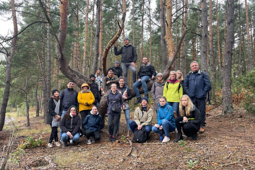 Warsztaty uważności w Kampinosie przy sosnie kandelabrowej