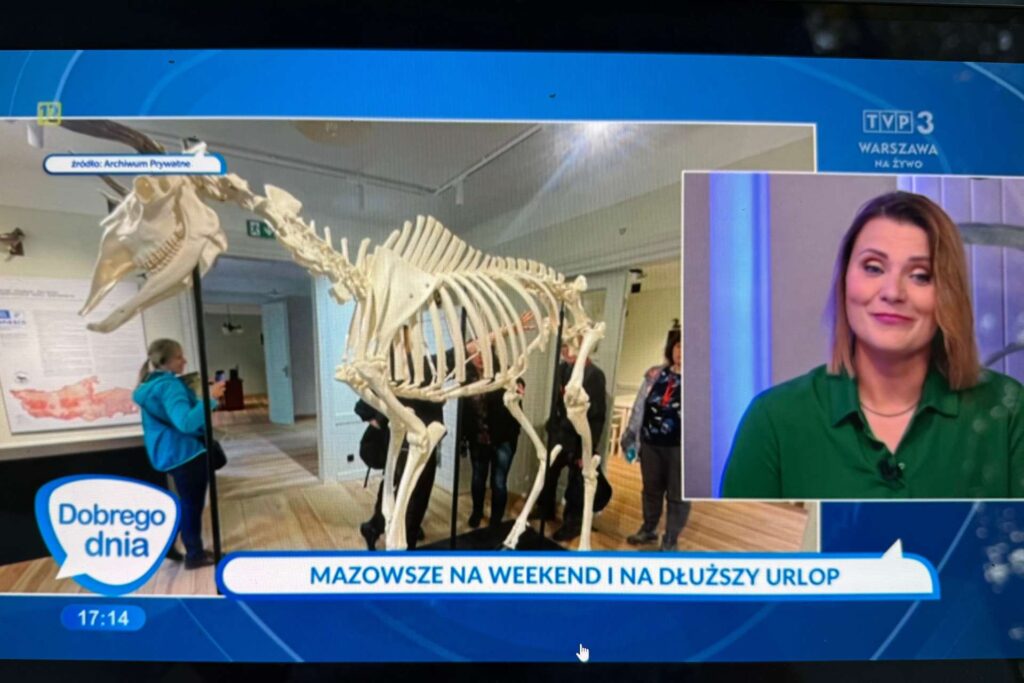 Przewodnik opowiada o Kampinoskim Parku Narodowym i atrakcjach Mazowsza podczas programu TVP3 Dobrego Dnia.