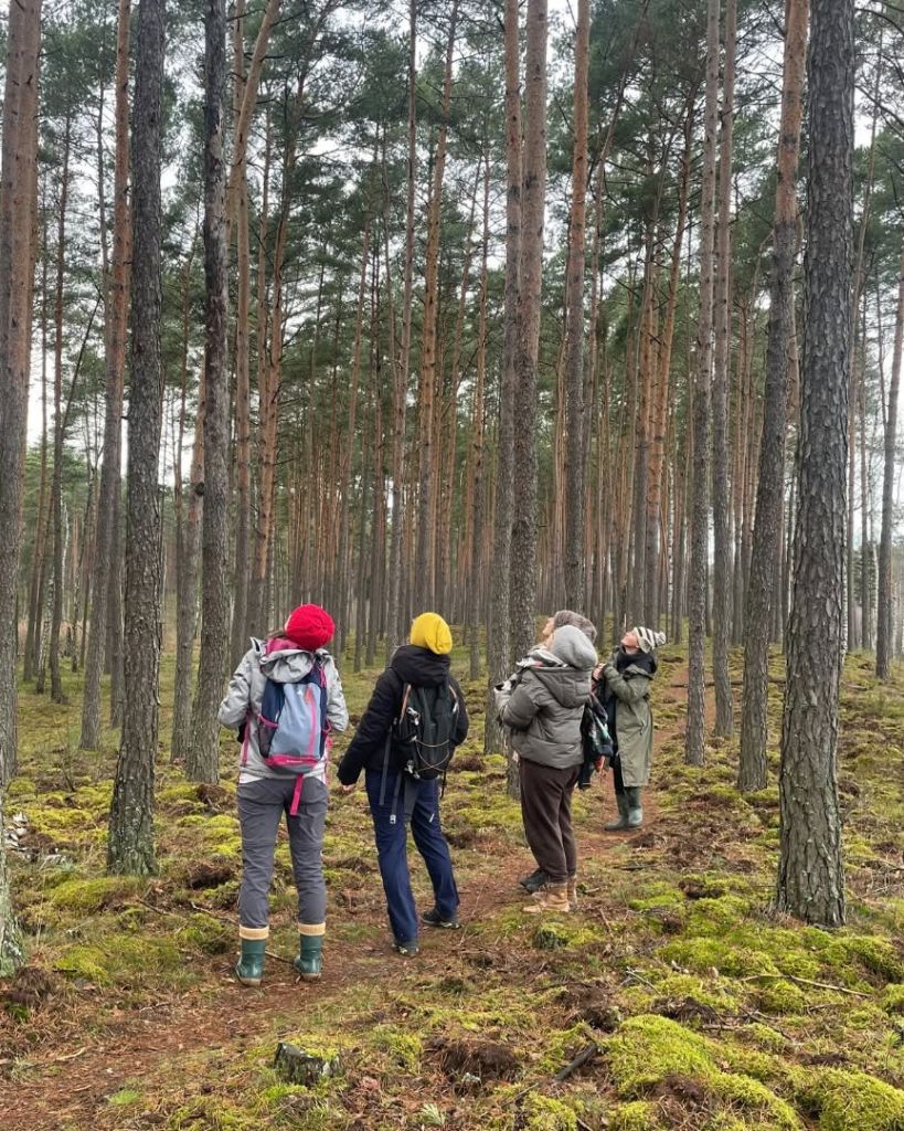 Grupa podczas obserwacji ptaków w Kampinoskim Parku Narodowym – uważność i kontakt z naturą podczas wydarzenia wellbeing dla firm
